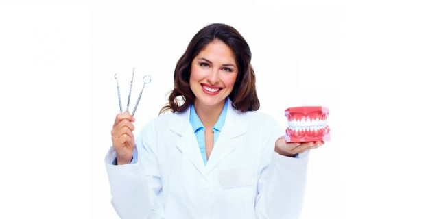 Dentist Holding Denture